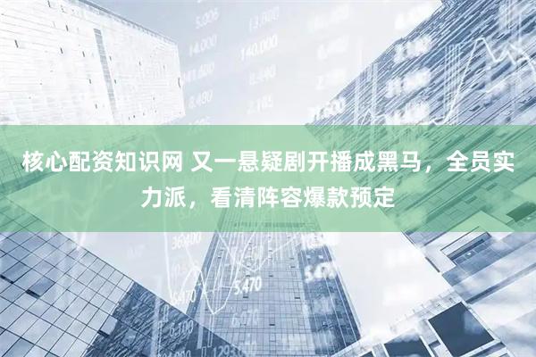 核心配资知识网 又一悬疑剧开播成黑马，全员实力派，看清阵容爆款预定